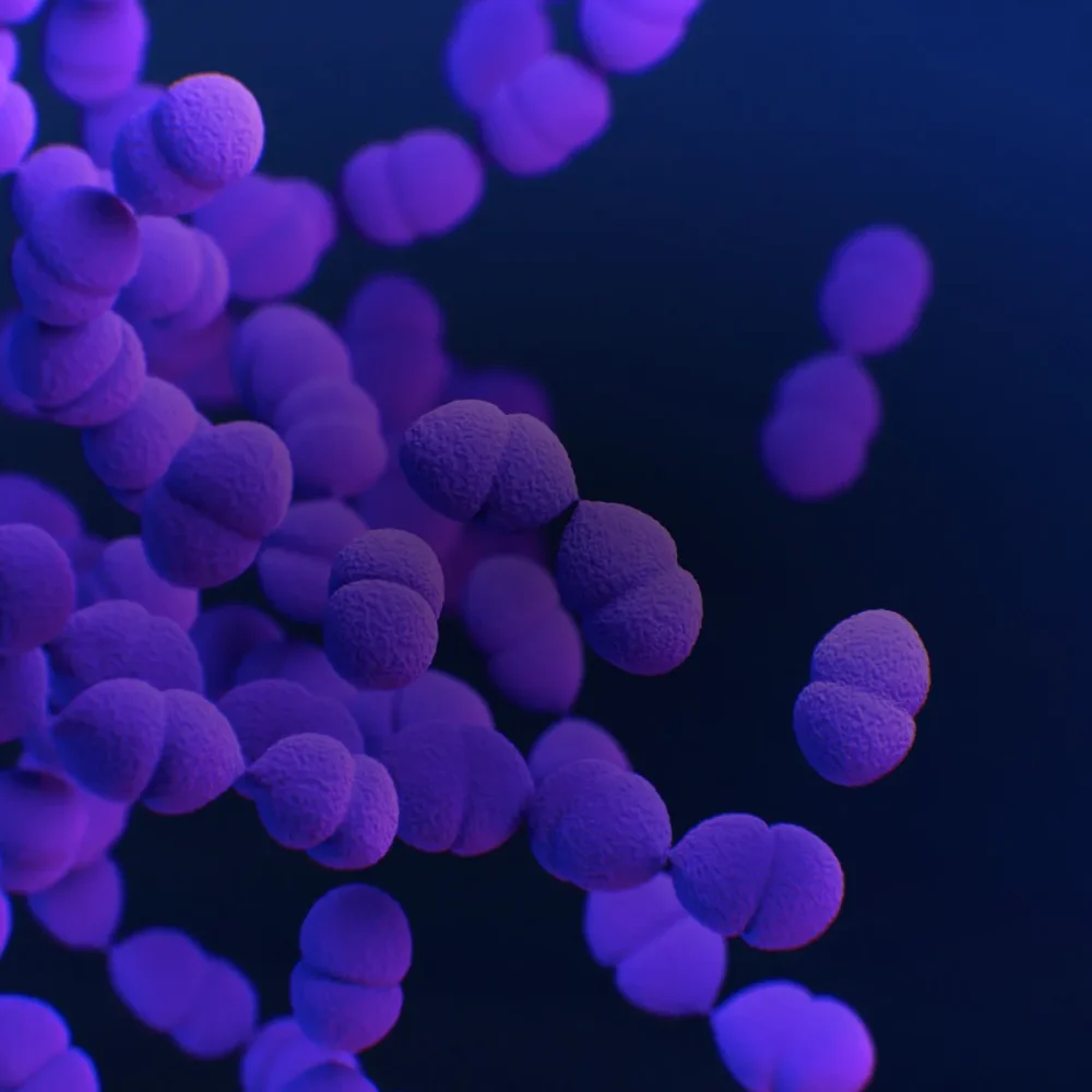 banner-buzzardpharma-9